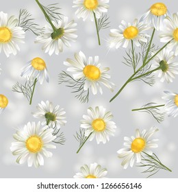 Vector botanical seamless pattern with chamomile flowers. Modern floral pattern for natural health care products, textile, wallpaper, print, gift wrap, greeting or wedding background.