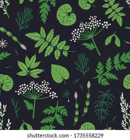Vector botanical seamless pattern with forest leaves and branches. Repeated texture with natural elements. Hand drawn herbal print for fabric and wrapping paper. Floral background. 