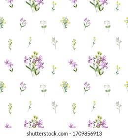 Vector botanical seamless pattern of isolated plants on a white background. Delicate flowering field grass. Russian medicinal flowers. Design of bouquets for fabric. Stock illustration for the fabric.