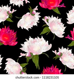 Vector botanical seamless pattern with peonies flowers on black. Modern floral pattern for textile, wallpaper, print, gift wrap, greeting or wedding background. Spring or summer design.