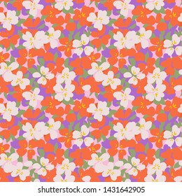 Vector botanical seamless pattern. Small daisies. Glade of wild flowers in vintage style. 