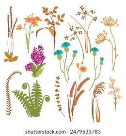 Vector botanical set of meadow plants isolated on white background.Herbs and wildflowers of various types.Colorful floral designs collection for use in card,poster,banner.Flat cartoon illustration.