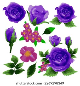 Vector Botanical set of wild flowers set of separate parts and bring together to beautiful bouquet of flowers in water colours.