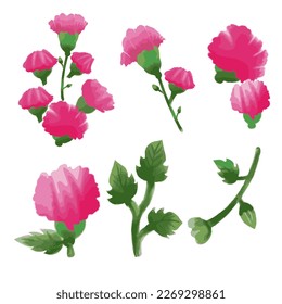 Vector Botanical set of wild flowers set of separate parts and bring together to beautiful bouquet of flowers in water colours.