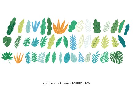 Vector botanical template for greeting card. Set of design elements - leaves and flowers in a modern style. Set of abstract tropical leaves.