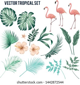 vector botanical tropical set with leaves: monstera, areca palm leaves, fan palm leaves, foliage, pink flamingos and flowers: hibiscus, frangipani. Exotic set with birds.