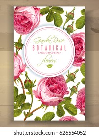 Vector botanical vertical banner with garden rose flowers on white background. Floral design for natural cosmetics, perfume, health care products. Can be used as greeting card, wedding invitation