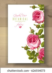 Vector botanical vertical banner with garden rose flowers on white background. Floral design for natural cosmetics, perfume, health care products. Can be used as greeting card, wedding invitation