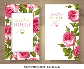 Banderas verticales vectoriales con flores de rosa de jardín sobre fondo blanco. Diseño floral para cosméticos naturales, perfumes, productos sanitarios. Se puede utilizar como tarjeta de felicitación, invitación de boda

