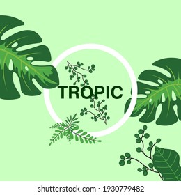 Vector botanical vertical with tropical leaves, orchid flowers and butterflies on white. Design for cosmetics, spa, health care products, travel company. Can be used as summer background