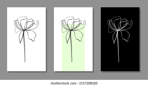 Vector botanical wall arts, with flower. Minimalistic and natural. Flower and line arts design.