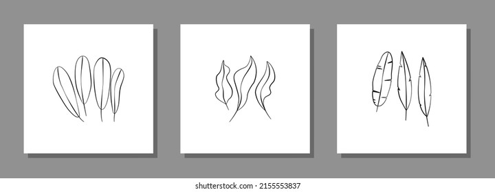 Vector botanical wall arts, with leaves. Minimalistic and natural. Leaves and line arts design