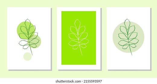 Vector botanical wall arts, with leaves. Minimalistic and natural. Leaves and line arts design.