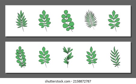 Vector botanical wall arts, with leaves. Minimalistic and natural. Leaves and line arts design.