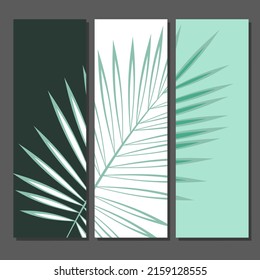 Vector botanical wall arts, with leaves. Minimalistic and natural. Leaves and line arts design.