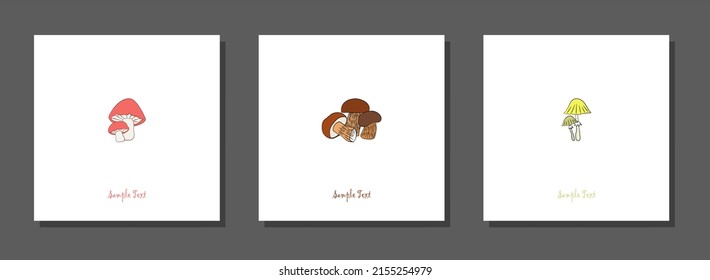 Muros botánicos vectores, con hongos. Minimalista y natural. Diseño artístico de líneas de hongos.