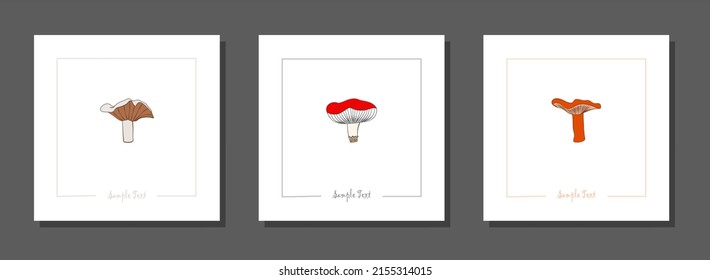 Vector botanical wall arts, with mushroom. Minimalistic and natural. Mushroomand line arts design.