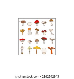 
Vector botanical wall arts, with mushrooms. Minimalistic and natural. Mushrooms and line arts design.
