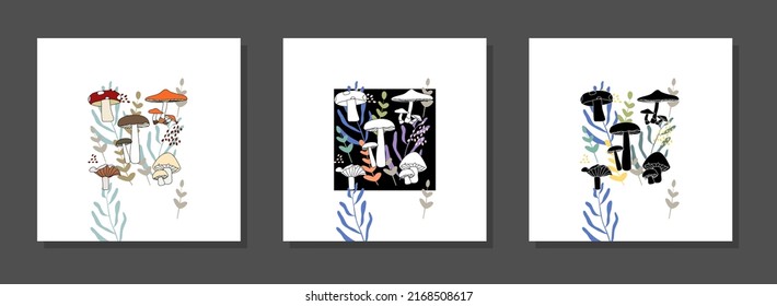 Muros botánicos vectoriales, con hongos. Minimalista y natural. Diseño de hongos y líneas artísticas