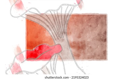 Vector botanical wall arts, with mushrooms. Minimalistic and natural. Mushrooms and line arts design. Sample text area included.