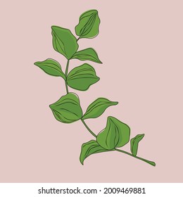 Vector botanical and wild leaves.