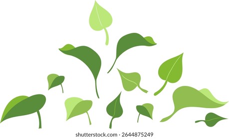 Elementos de botânica vetorial isolados sobre fundo branco, folhas verdes planas desenhadas à mão de chá, manjericão, limoeiro ou arbusto lilás, conjunto de folhas para o tema de ecologia da Natureza com eco folhagem