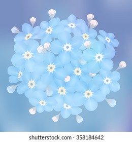 Vector bouquet of blue forget-me-not flowers on a blur background.