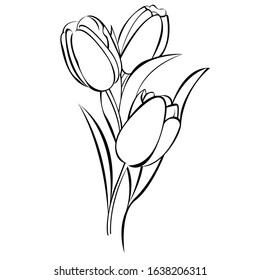 Vector bouquet with contour tulip flowers. Decorative floral elements for spring design.
Flowers for the eighth of March