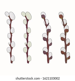 Vector bouquet with contoured willow branches isolated on a white background. A branch with a blooming willow pussy in a contoured style for spring design and Easter coloring. Vector illustration