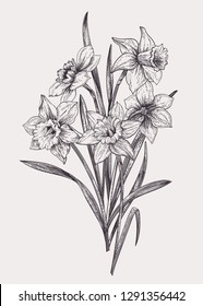 Vector bouquet with daffodils. Black and white.