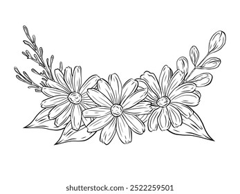 Ramo de Vector con margaritas y verdor, ramas y hojas. Ilustración, dibujo lineal, gráficos dibujados a mano en blanco y negro. Diseño y embalaje, hierbas papitok, planta útil, ingrediente natural