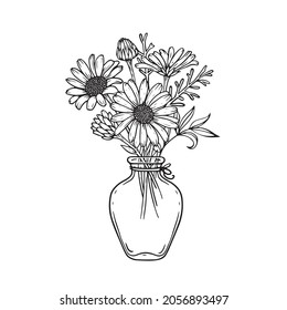 Vector bouquet of daisies and herbs in a bottle. The illustration is drawn in sketch style.