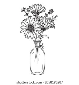 Vector bouquet of daisies in a round transparent vase. Linear detailed illustration.