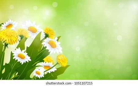 Vector bouquet of dandelions and chamomiles on green background. Spring illustration
