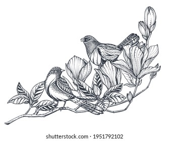 Vector bouquet of doodle hand drawn magnolia, sakura flowers and birds. Beautiful romantic elegant floral composition for wedding invitation, greeting card, coloring book.