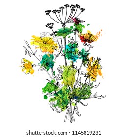 Vector bouquet with drawing wild plants, herbs and flowers and watercolor paint stains, botanical illustration, isolated floral elements