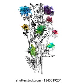 Vector bouquet with drawing wild plants, herbs and flowers and watercolor paint stains, botanical illustration, isolated floral elements