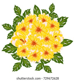 vector, bouquet of flowers for the design of cards, invitations, price tags, poster