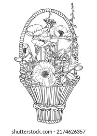 Vector bouquet of flowers in a wicker basket. Coloring book for adults basket with flowers.