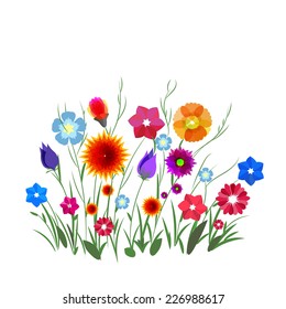 vector bouquet of garden flowers
