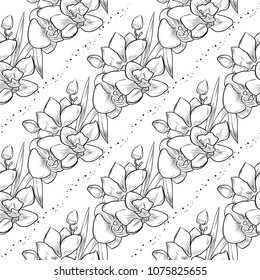 Vector bouquet of orchid flowers