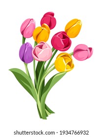 Vector bouquet of red, pink, orange, yellow and purple tulip flowers isolated on a white background.