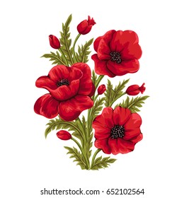 Vector bouquet of red poppies. Hand drawn illustration.Flower isolated on white background.