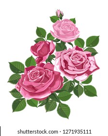 Vector. Bouquet of roses. Watercolor illustration. Rose Bud isolated on white. Roses, buds, leaves. Wedding, birthday, design, invitation card Template