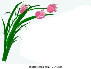 vector - Bouquet of tulip greetings card