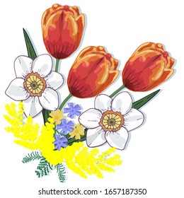 Vector  bouquet of tulips, daffodils, mimosa and other spring flowers on a white background. Beautiful spring flowers to create a greeting card