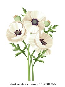 Vector bouquet of white poppy flowers isolated on a white background.