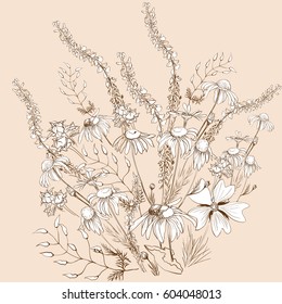 Vector. A bouquet of wild flowers and herbs, chamomile, peas. Background image. Wallpaper. Use printed materials, signs, items, websites, maps, posters.