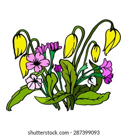 Vector bouquet of wild flowers for your design