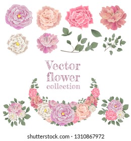 Vector bouquets of roses and green leaves. All elements are isolated on white background.